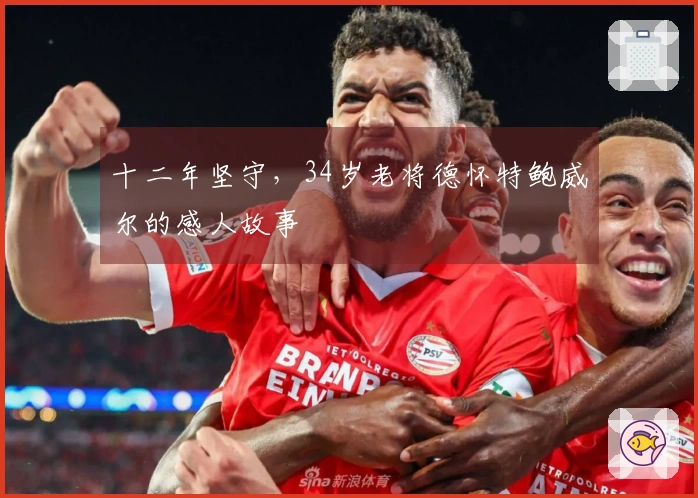 十二年坚守，34岁老将德怀特鲍威尔的感人故事
